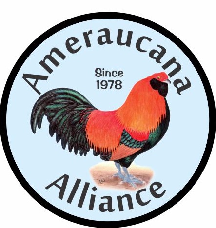 Ameraucana club patch